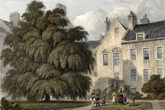 Engraving in 'Modern Athens'  -  hand-coloured  -  The Levee Room at Regent Murray's House