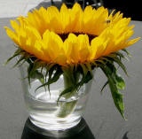 Edinburgh Jazz & Blues Festival, 2009