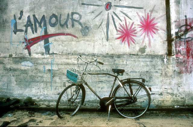 Cycle  -  Near Amsterdam